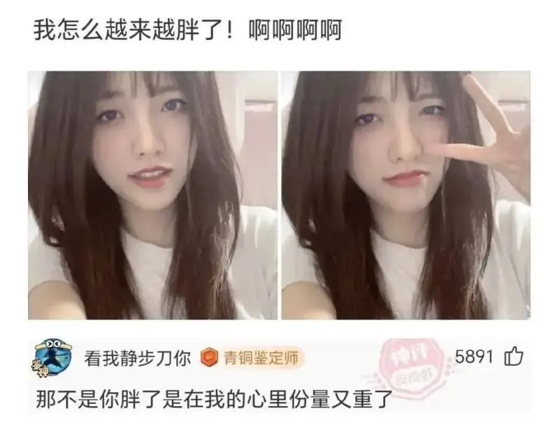 我怎么越来越胖了!啊啊啊啊看我静步刀你青铜鉴定师589那不是