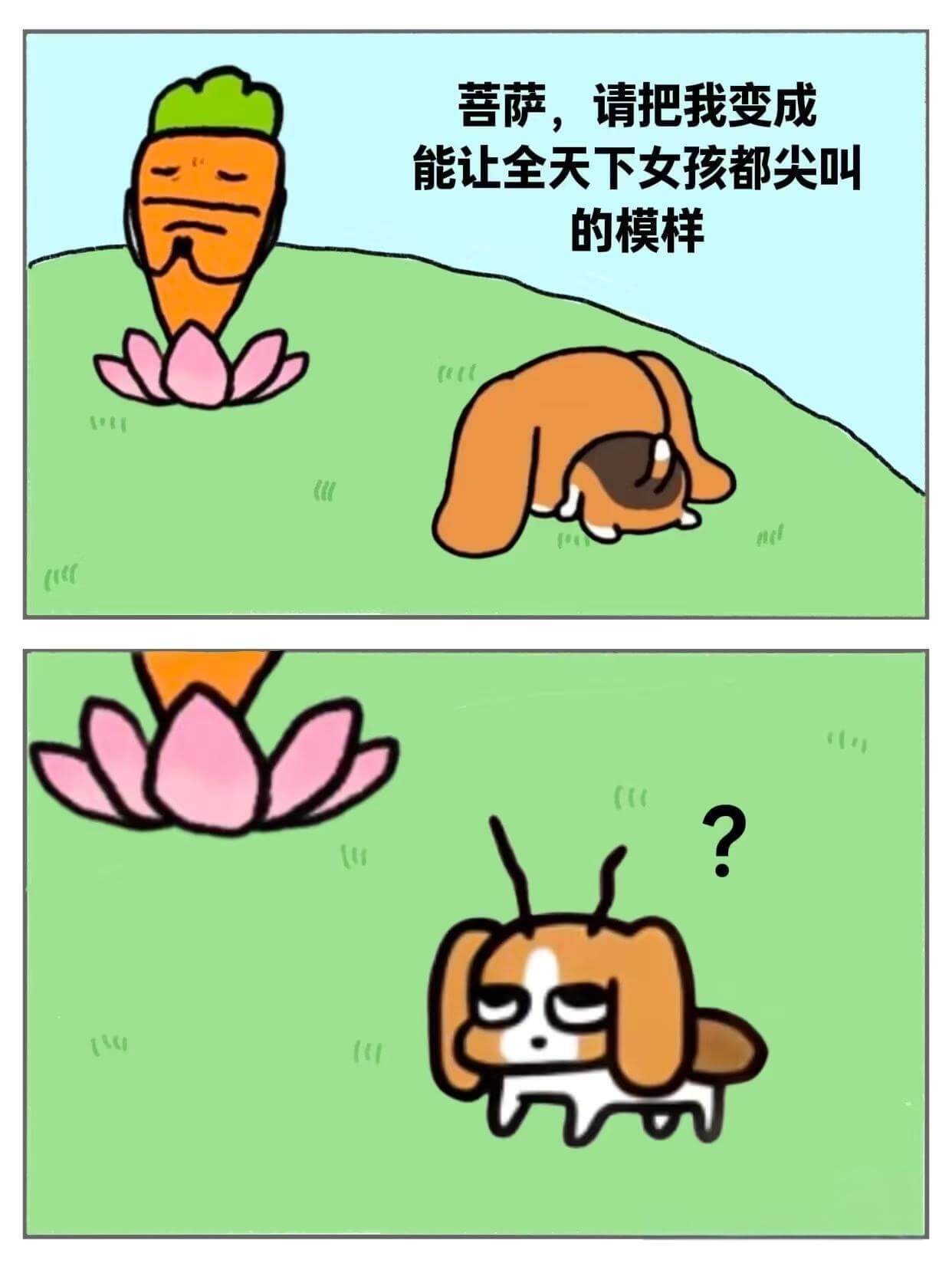 菩萨，请把我变成能让全天下女孩都尖叫的模样C