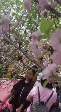 树：要拍的抓紧拍，一会还要赶下一个场子呢