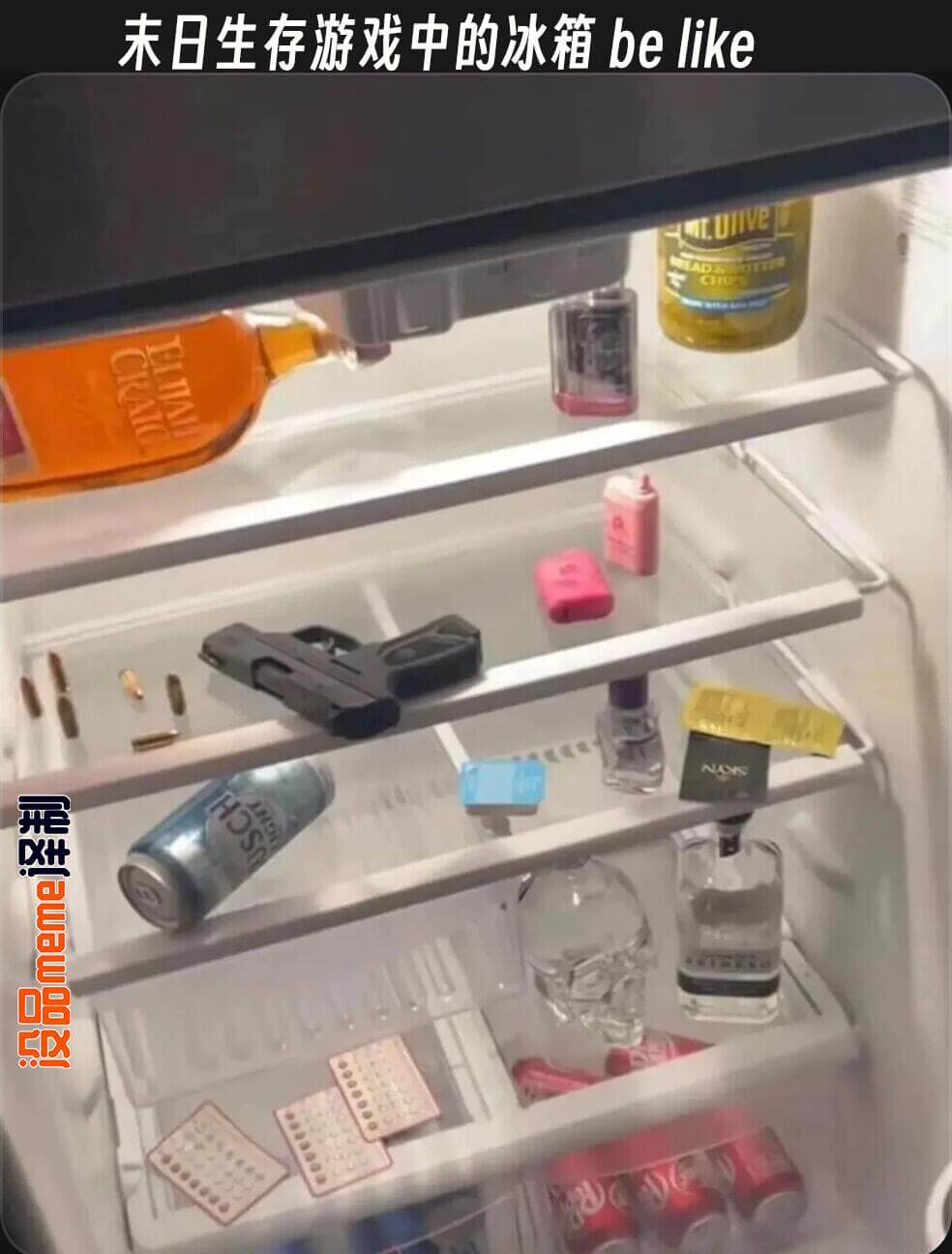 末日生存游戏中的冰箱belike