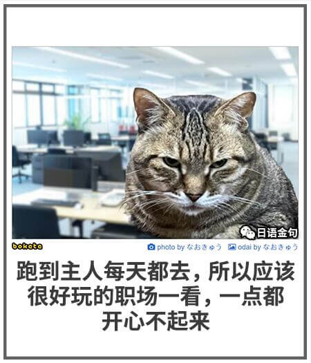 日语金句bokoto一幅照片by谷书国，odaiby衣者告方