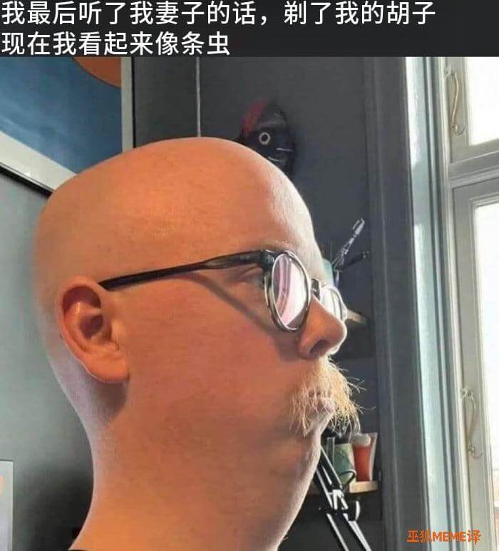 我最后听了我妻子的话，剃了我的胡子。现在我看起来像条虫。巫狐