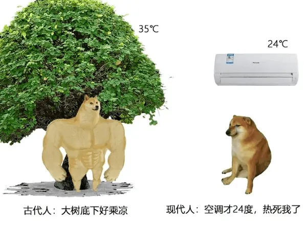 梗图