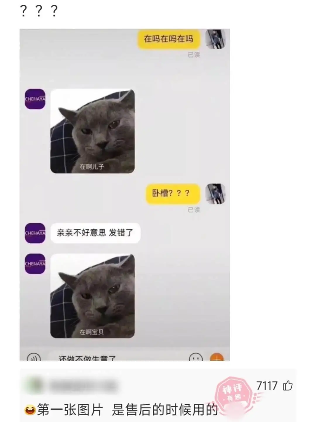 在吗在吗在吗已读CHENAYA在啊儿子卧槽???已读亲亲不好