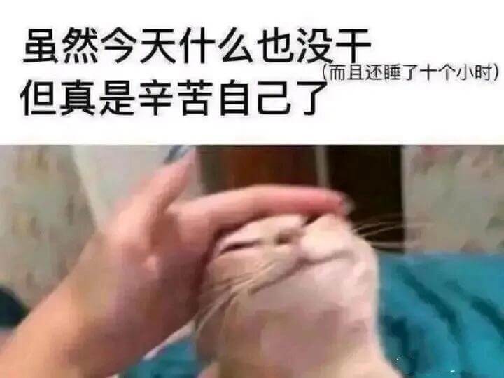 虽然今天什么也没干，（而且还睡了十个小时）但真是辛苦自己了