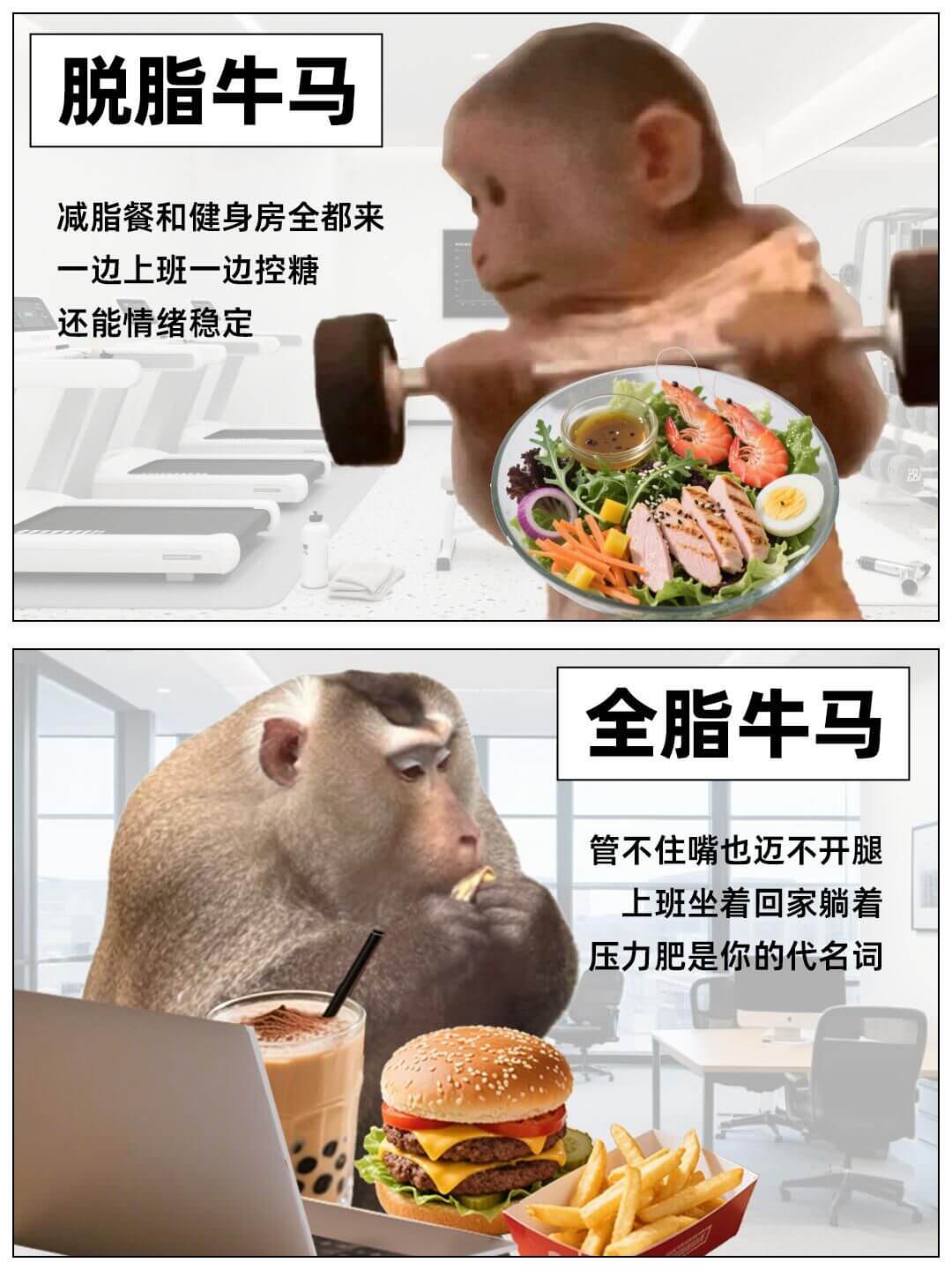 脱脂牛马减脂餐和健身房全都来一边上班一边控糖还能情绪稳定全脂