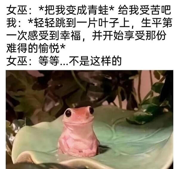 女巫：*把我变成青蛙*给我受苦吧！我：*轻轻跳到一片叶子上，