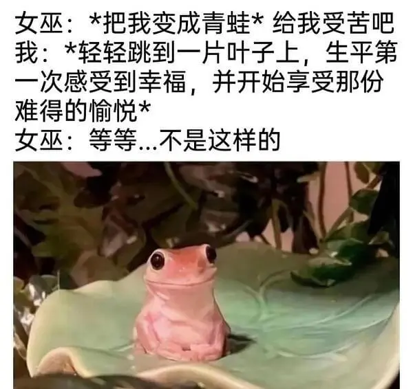 女巫：*把我变成青蛙*给我受苦吧！我：*轻轻跳到一片叶子上，