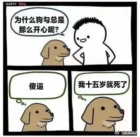 为什么狗勾总是那么开心呢？傻逼，我十五岁就死了