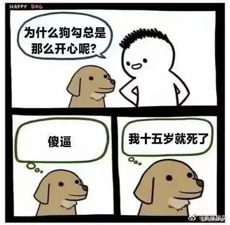 为什么狗勾总是那么开心呢？傻逼，我十五岁就死了