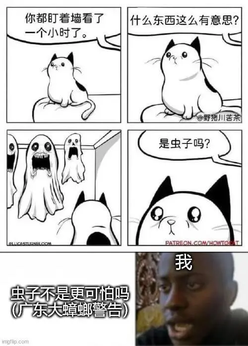 你都盯着墙看了什么东西这么有意思？一个小时了。是虫子吗？我…