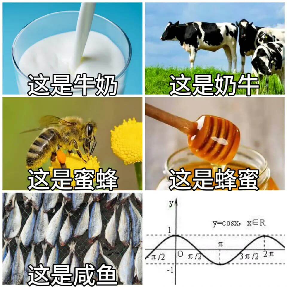 这是牛奶这是奶牛这是蜜蜂这是蜂蜜y=cosx,x∈Rπ/23