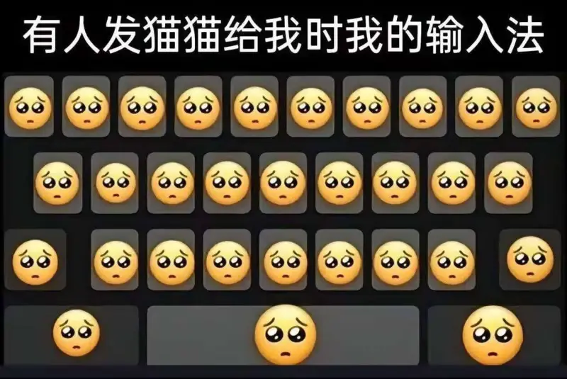 有人发猫猫给我时我的输入法