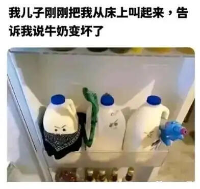我儿子刚把我从床上叫起来，告诉我说牛奶变坏了