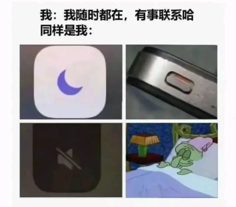 我:我随时都在,有事联系哈同样是我: