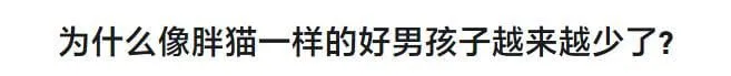 为什么像胖猫一样的好男孩子越来越少了？