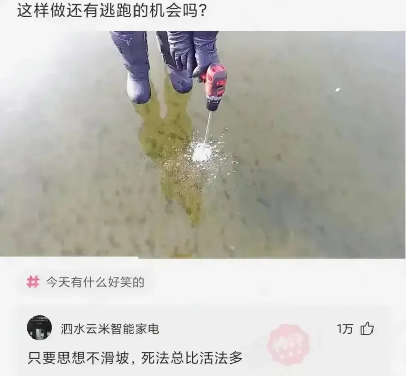 这样做还有逃跑的机会吗?今天有什么好笑的泗水云米智能家电只要