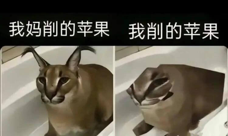 我妈削的苹果我削的苹果