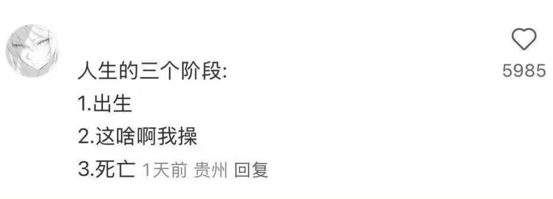 人生的三个阶段：1.出生2.这啥啊我操3.死亡1天前贵州回复