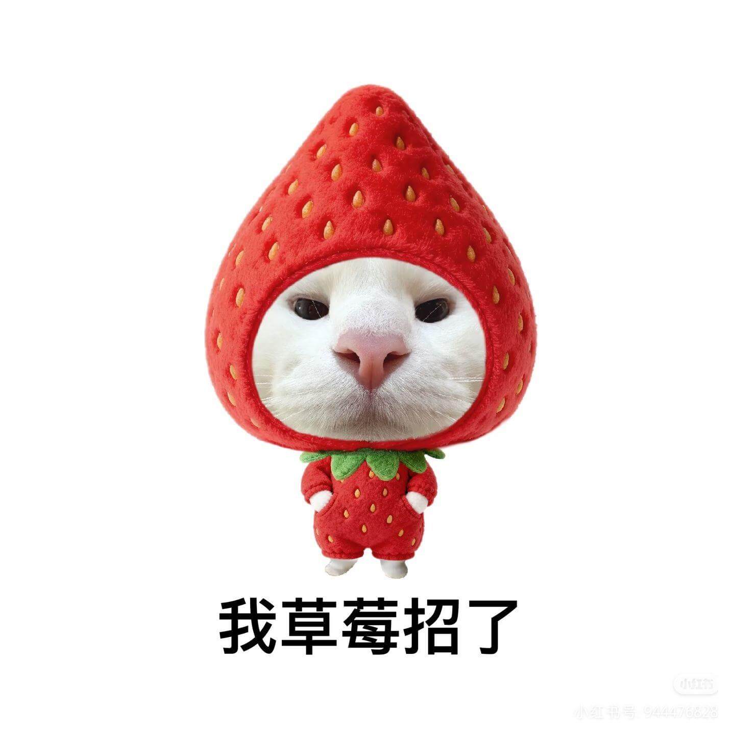 我草莓招了红书号：944476828