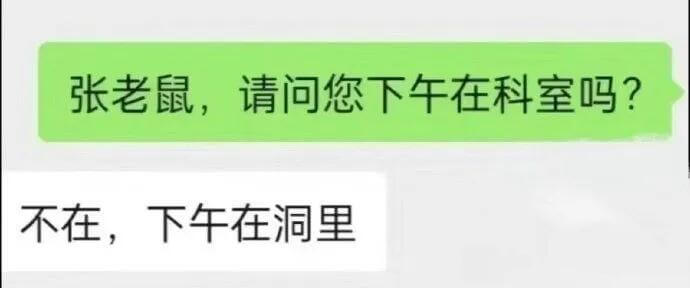 张老鼠，请问您下午在科室吗？不在，下午在洞里