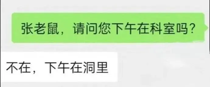 张老鼠，请问您下午在科室吗？不在，下午在洞里