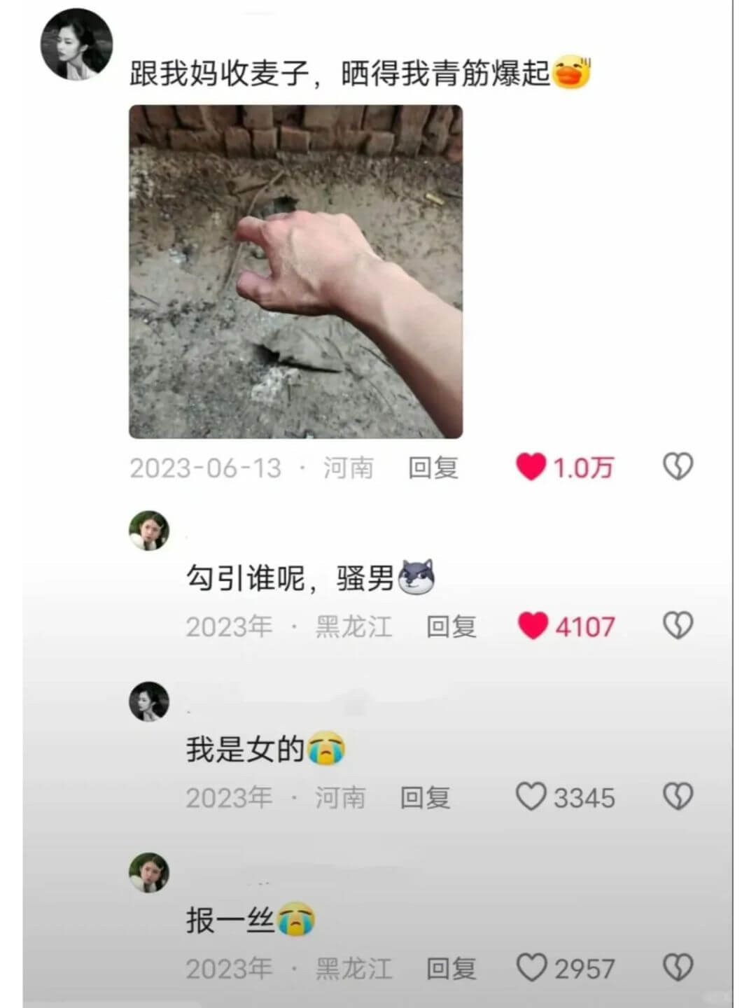 跟我妈收麦子，晒得我青筋爆起。2023-06-13·河南回复
