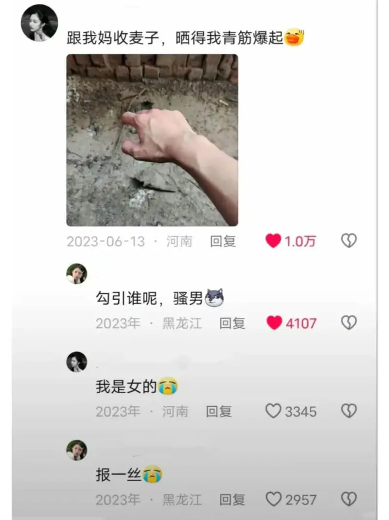 跟我妈收麦子，晒得我青筋爆起。2023-06-13·河南回复