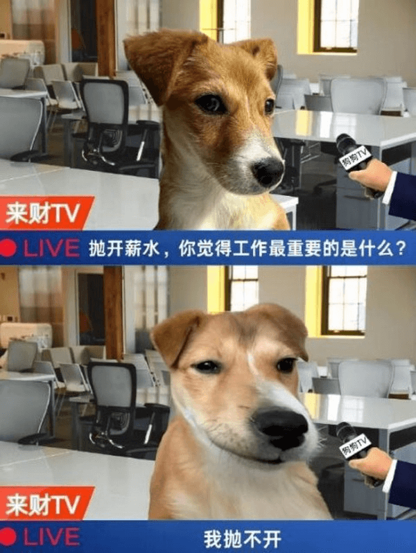 来财TVLIVE抛开薪水，你觉得工作最重要的是什么？来财TV