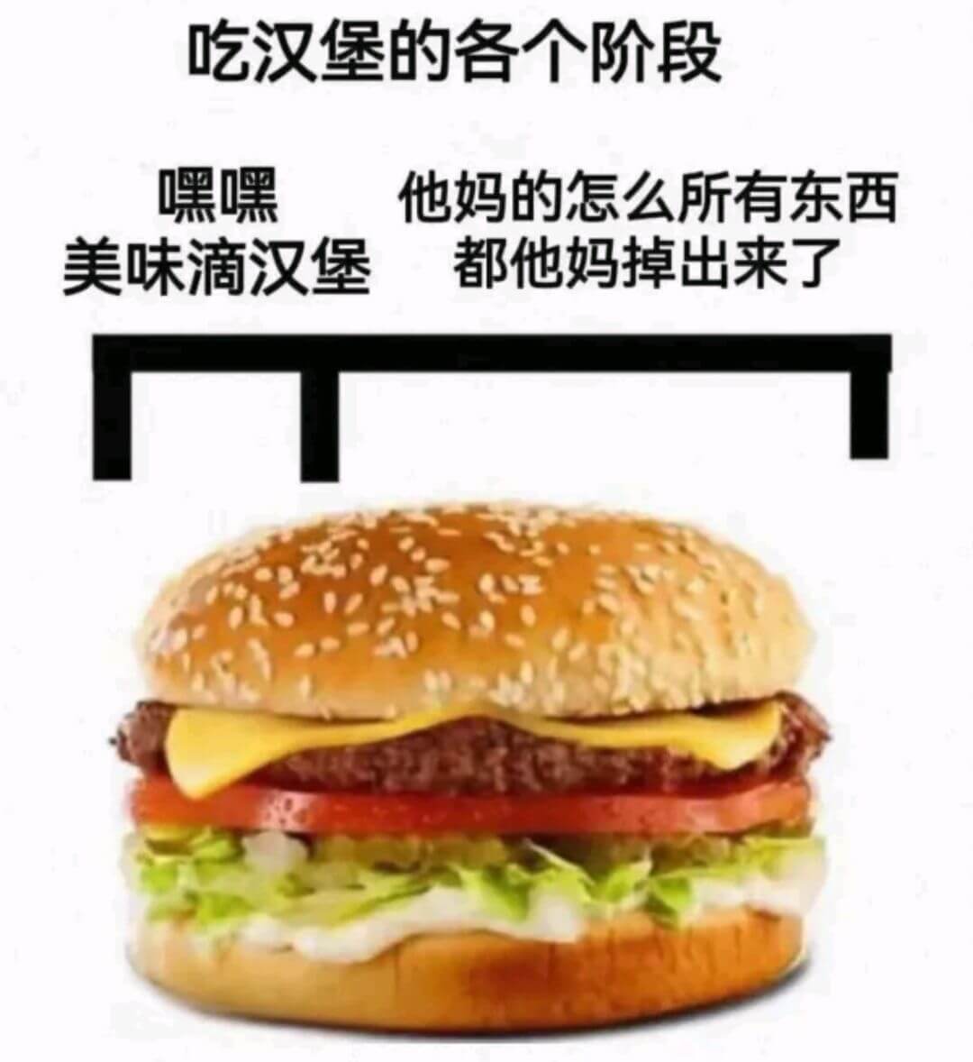 吃汉堡的各个阶段嘿嘿，美味滴汉堡。他妈的怎么所有东西都他妈掉