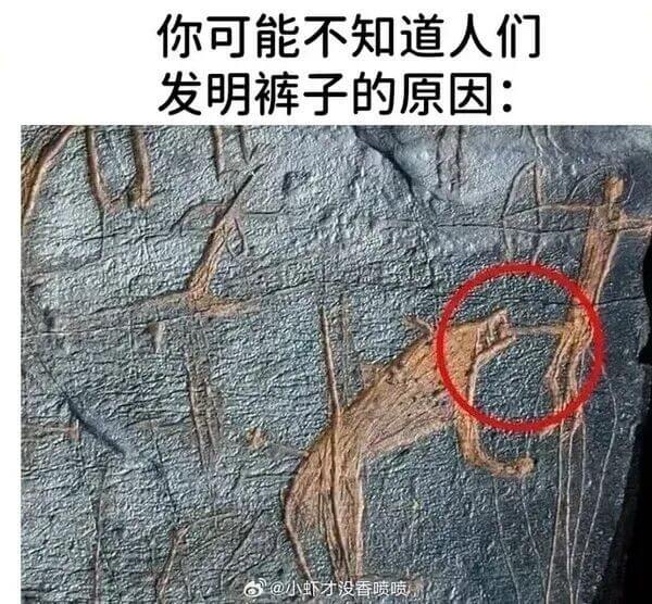 你可能不知道人们发明裤子的原因：@小虾才没香喷喷