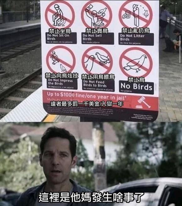 禁止坐鳥禁止鳥禁止乱扔扁DoNotSitonBirdsDoN
