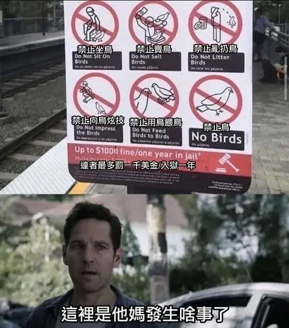 禁止坐鳥禁止鳥禁止乱扔扁DoNotSitonBirdsDoN