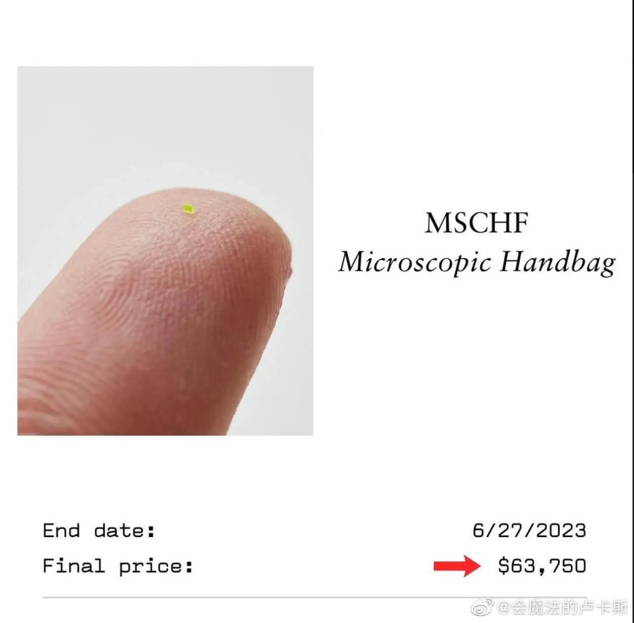 MSCHFMicroscopicHandbagEnddate