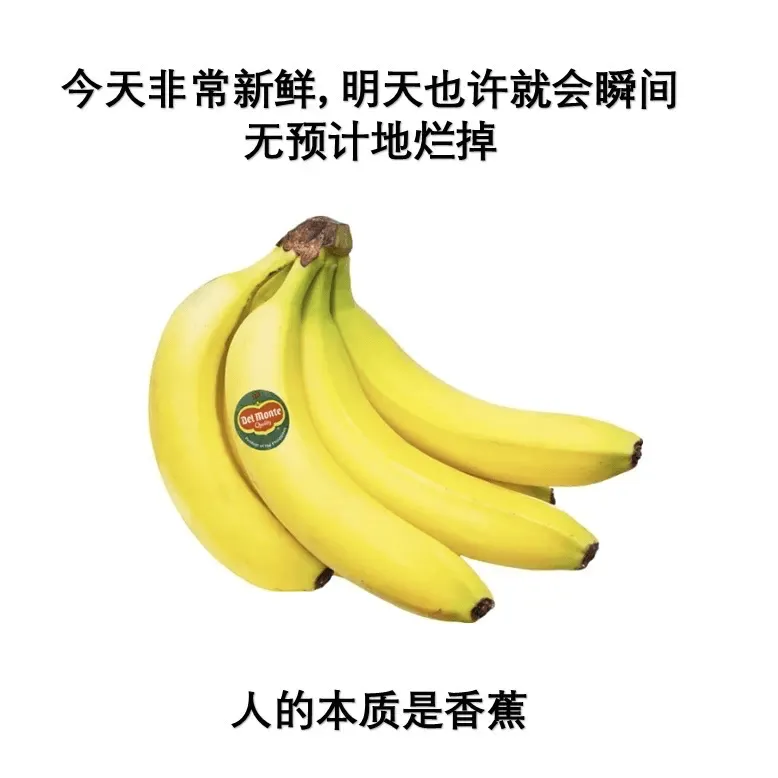 今天非常新鲜，明天也许就会瞬间无预计地烂掉。人的本质是香蕉。