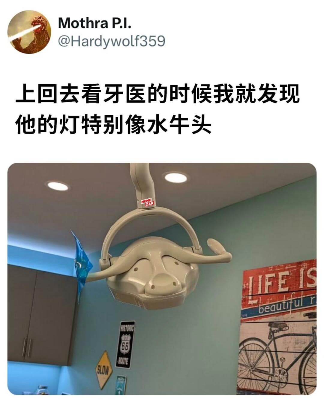 MothraP.l.@Hardywolf359上回去看牙医的