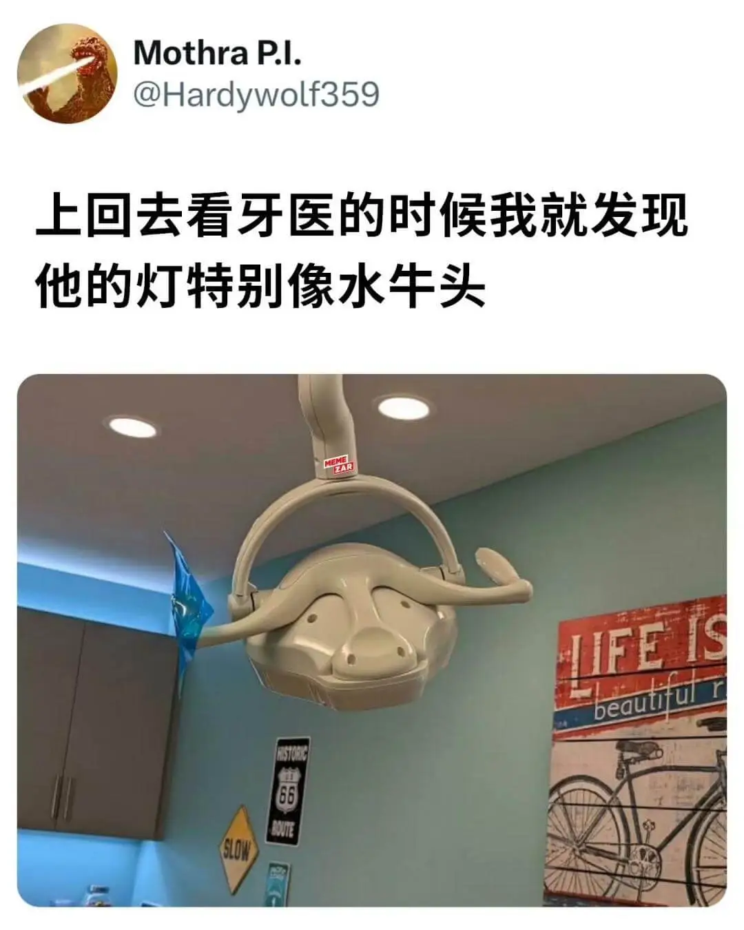MothraP.l.@Hardywolf359上回去看牙医的