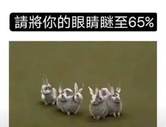 請將你的眼睛謎至65%