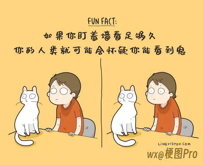 FUNFACT:如果你盯着墙看足够久，人类就可能会怀疑你能看