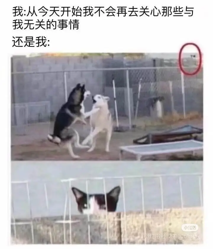 我:从今天开始我不会再去关心那些与我无关的事情。小红书号:2