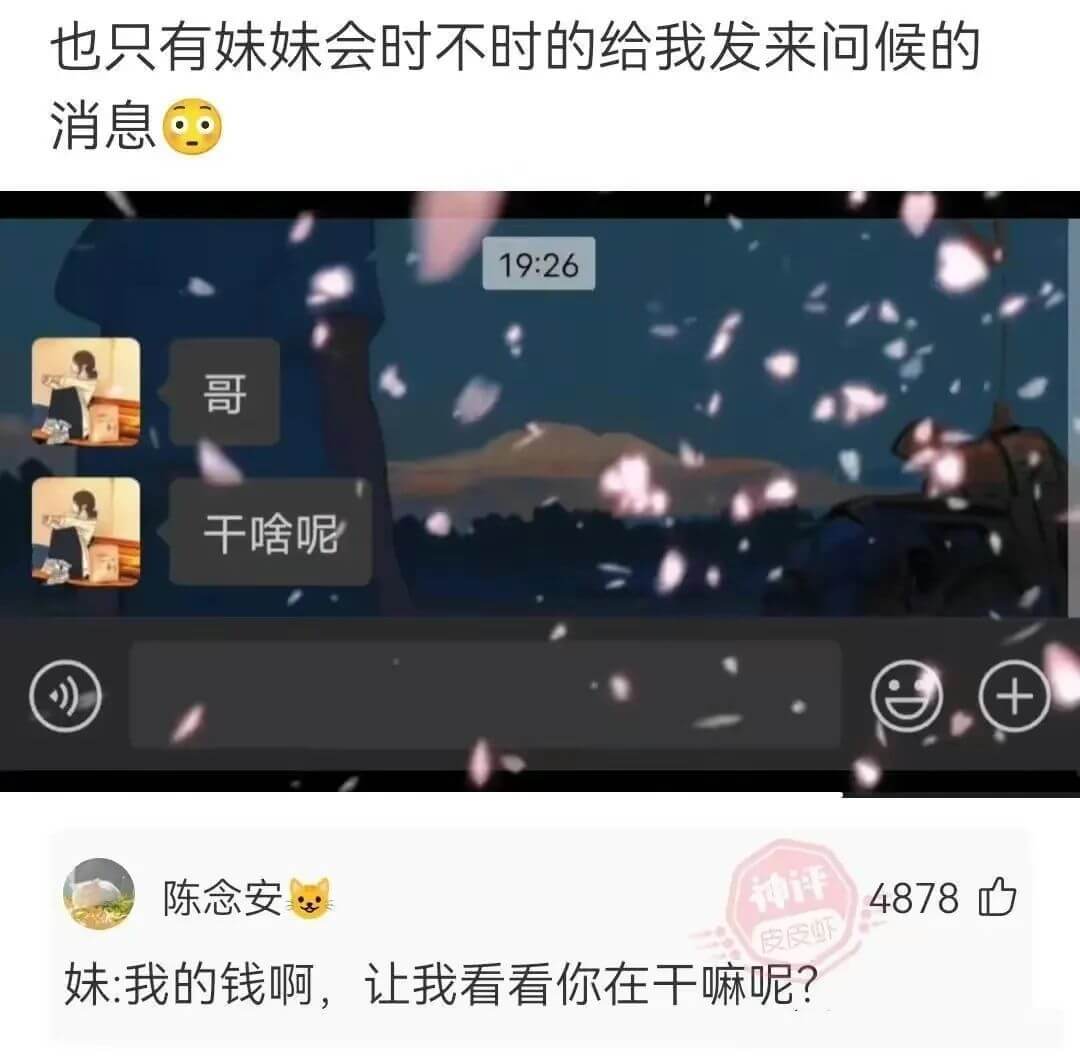 也只有妹妹会时不时的给我发来问候的消息19:26哥干啥呢陈念
