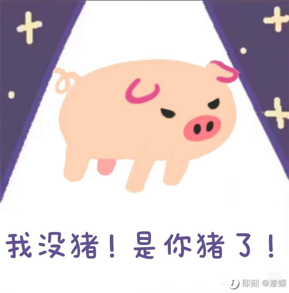十我没猪！是你猪了！D即刻@漆蝶