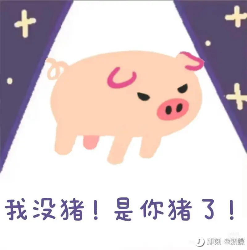 十我没猪！是你猪了！D即刻@漆蝶