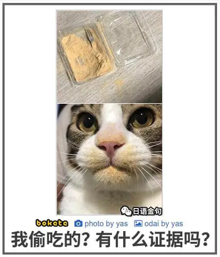 日语金句boketephotobyyasodaibyyas我