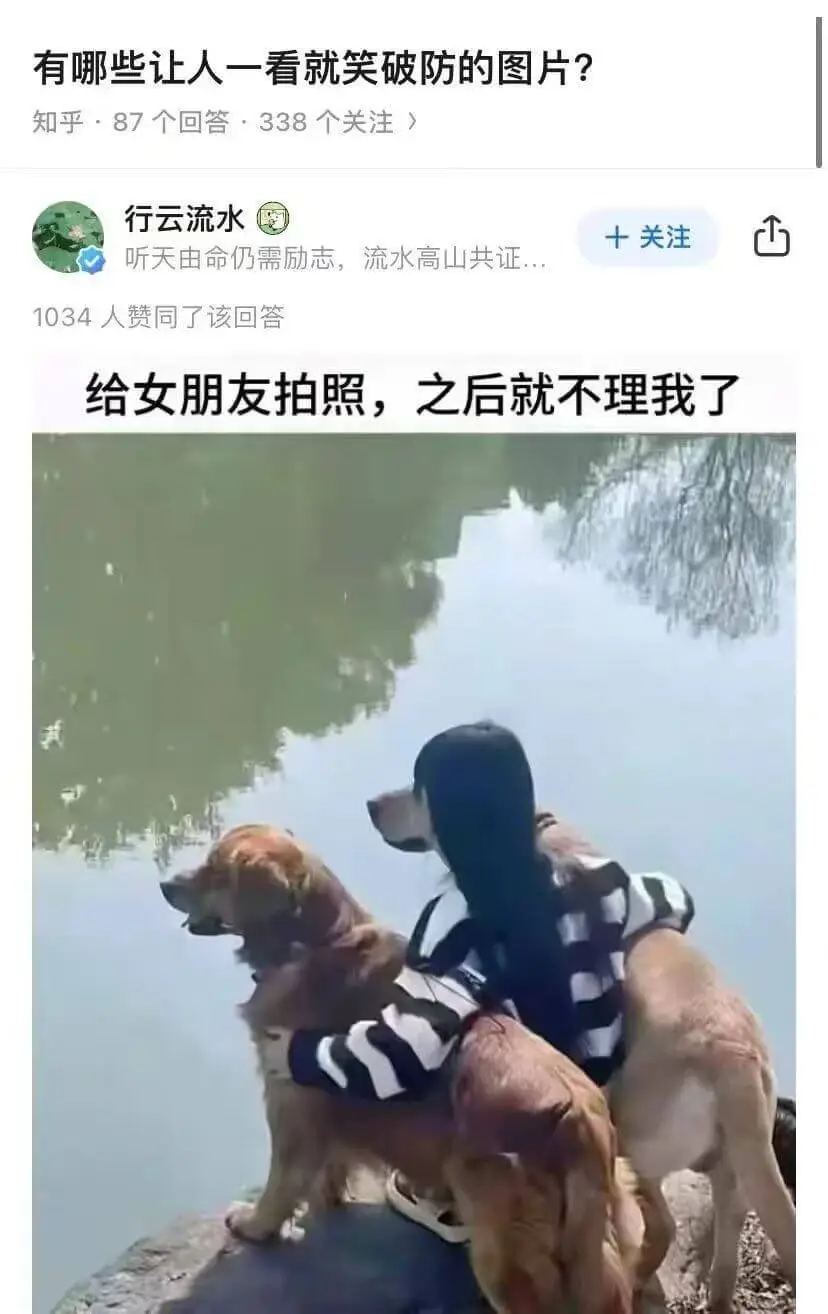 有哪些让人一看就笑破防的图片？知乎·87个回答·338个关注