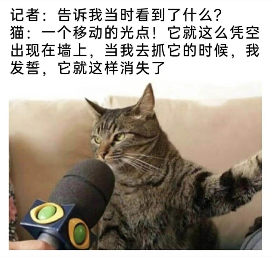 记者：告诉我当时看到了什么？猫：一个移动的光点！它就这么凭空