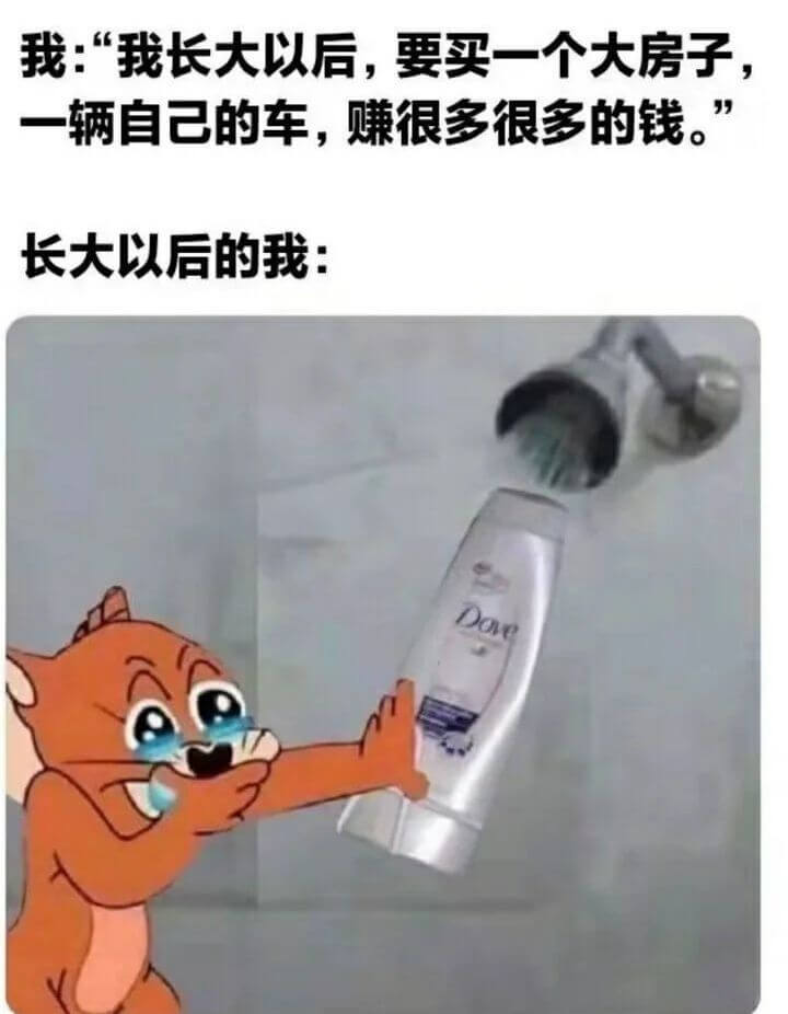 我：“我长大以后，要买一个大房子一辆自己的车，赚很多很多的钱