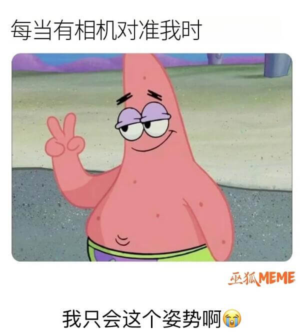 每当有相机对准我时巫狐MEME，我只会这个姿势啊。