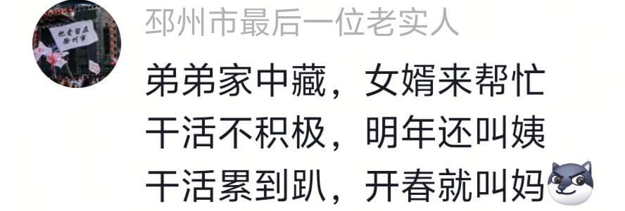 州市最后一位老实人弟弟家中藏，女婿来帮忙干活不积极，明年还叫