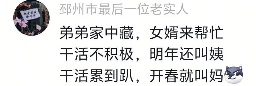 州市最后一位老实人弟弟家中藏,女婿来帮忙干活不积极,明年还叫